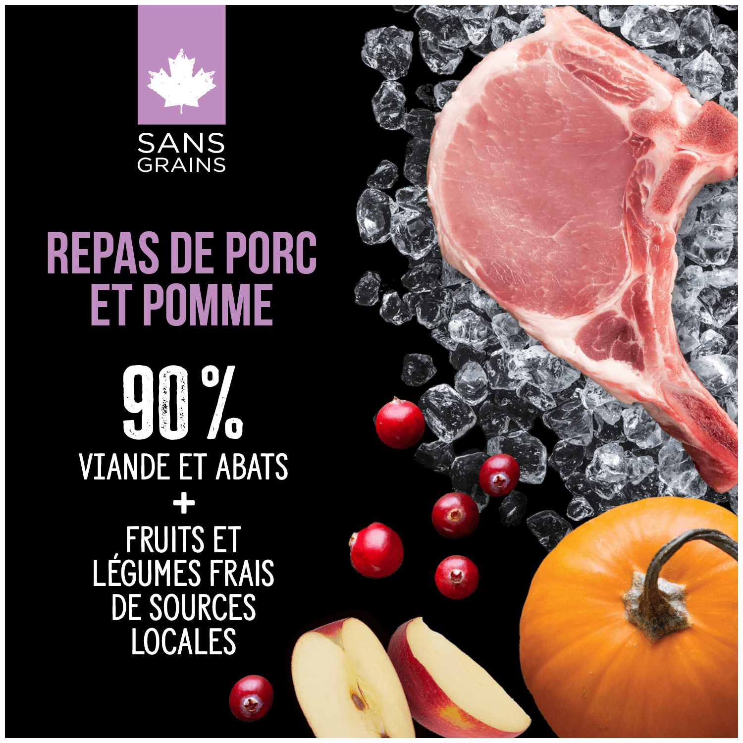 Nutrience SUBZERO, Cru Séché à Froid pour Chien au Porc – Image 3