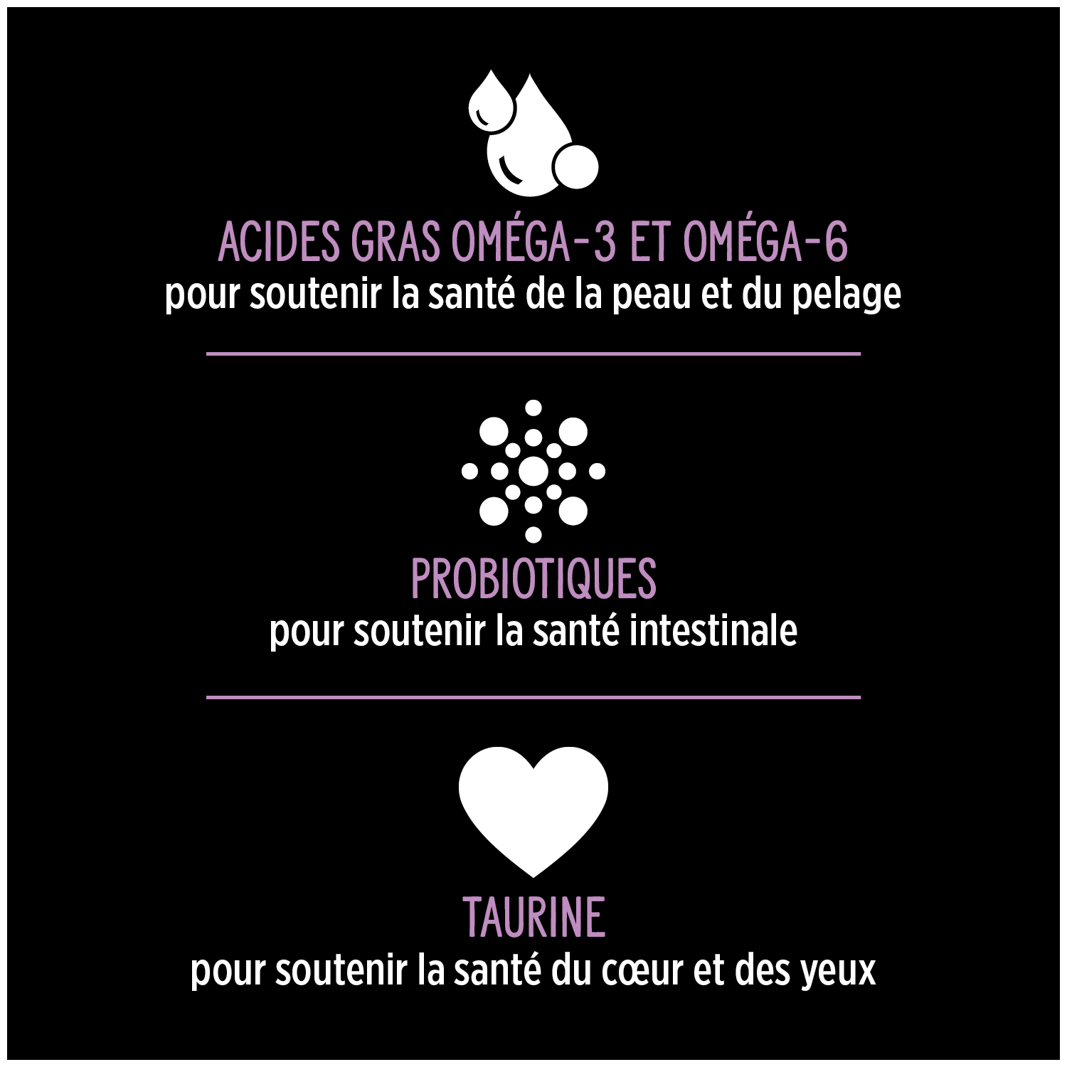 Nutrience SUBZERO, Cru Séché à Froid pour Chien au Porc – Image 4