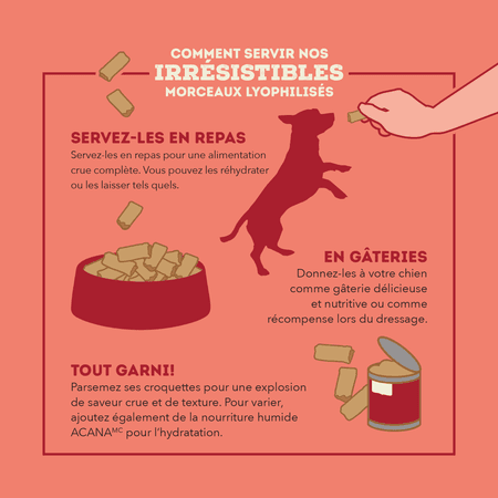 Acana, Morceaux au Bœuf lyophilisés, 226g – Image 5