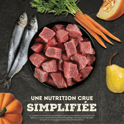 Acana, Morceaux au Bœuf lyophilisés, 226g – Image 6