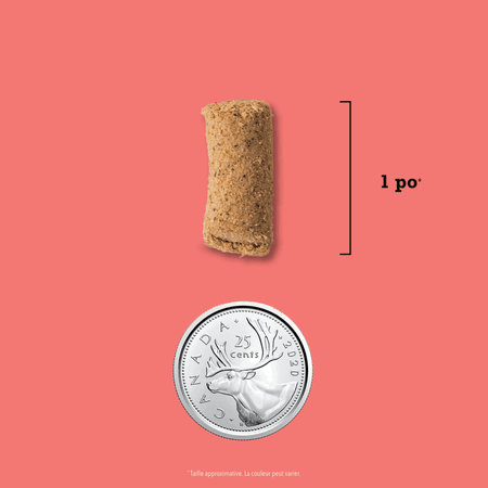 Acana, Morceaux au Bœuf lyophilisés, 226g – Image 7
