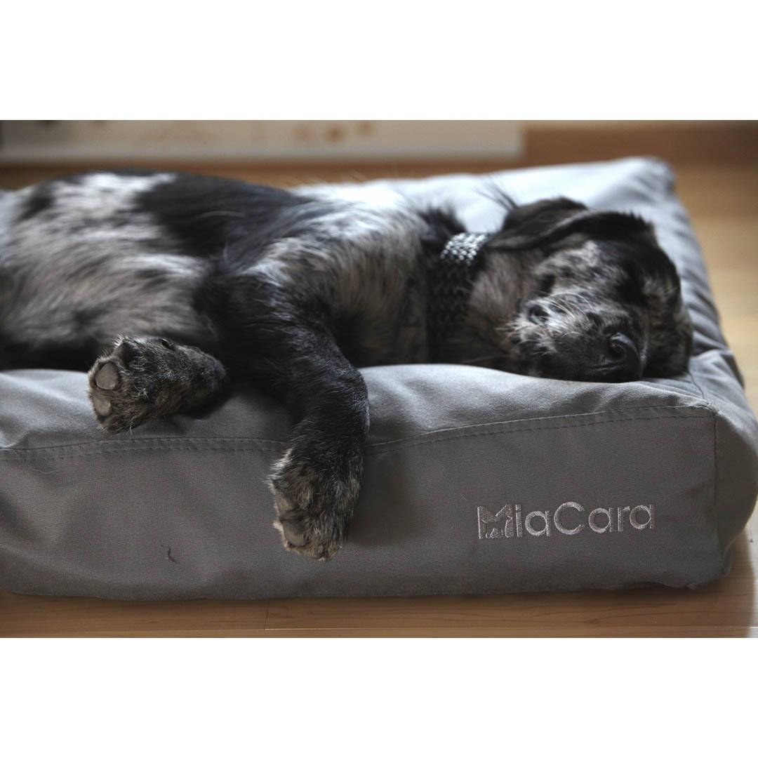 Coussin Luvio – Image 3