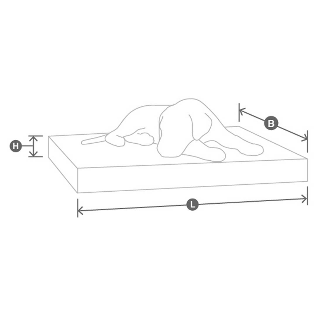 Coussin Luvio – Image 6
