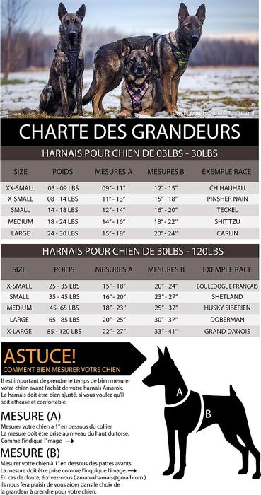 AMAROK HARNAIS DE MARCHE GROS CHIEN OXFORD PETIT – Image 2