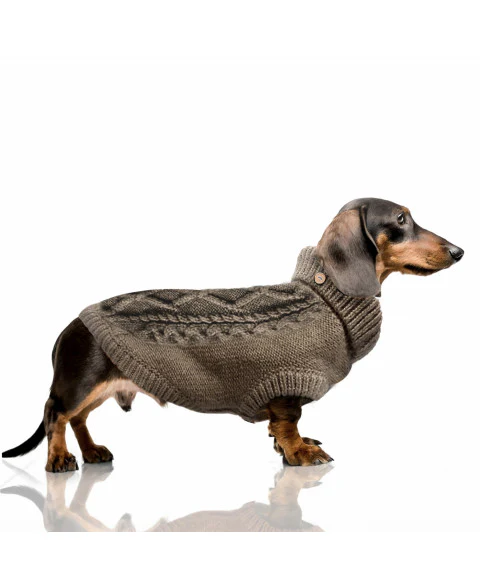 Pull Torsadé Connor pour Chien – Marron – Image 2