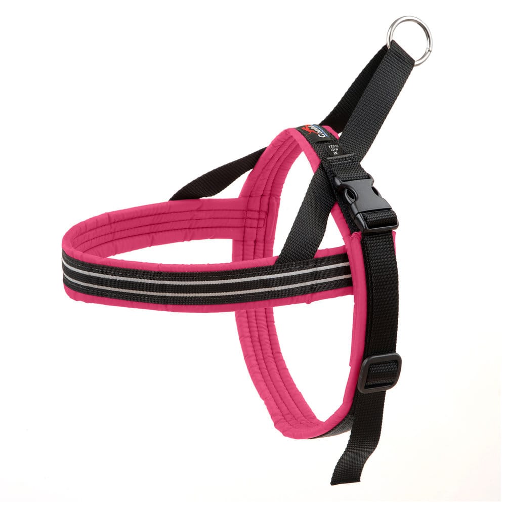 ComfortFlex – Des Harnais Hyper Confortables – Image 7