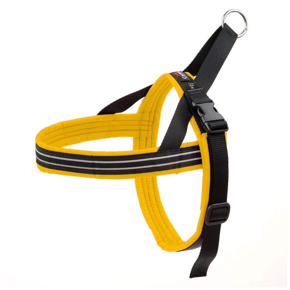 ComfortFlex – Des Harnais Hyper Confortables – Image 4