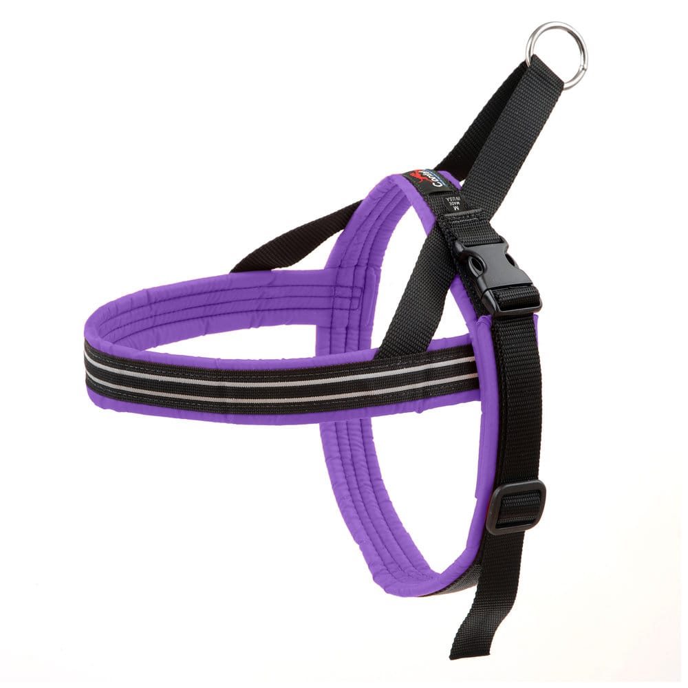 ComfortFlex – Des Harnais Hyper Confortables – Image 6