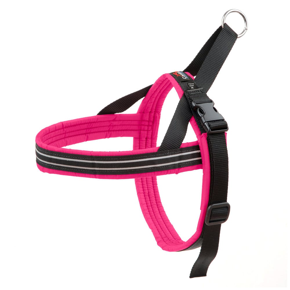 ComfortFlex – Des Harnais Hyper Confortables – Image 9