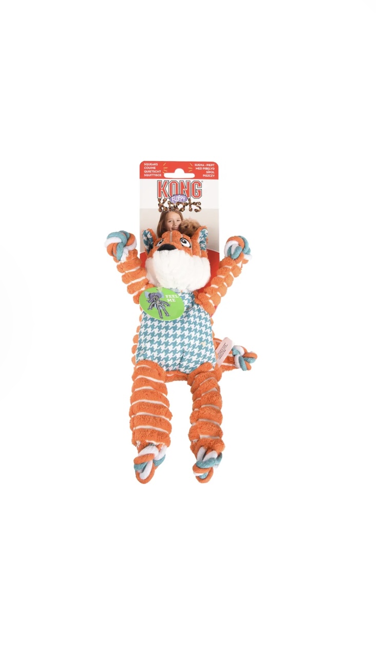 Kong renard – Image 3