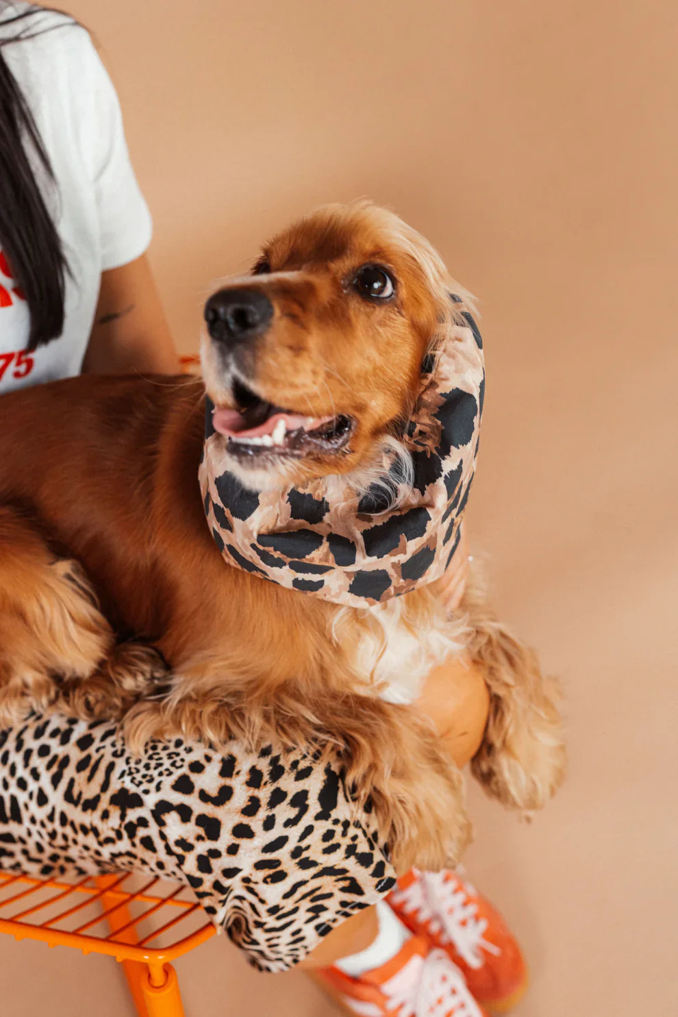 Snood pour chien imprimé léopard – Confort & style – Lou & Co. – Image 2