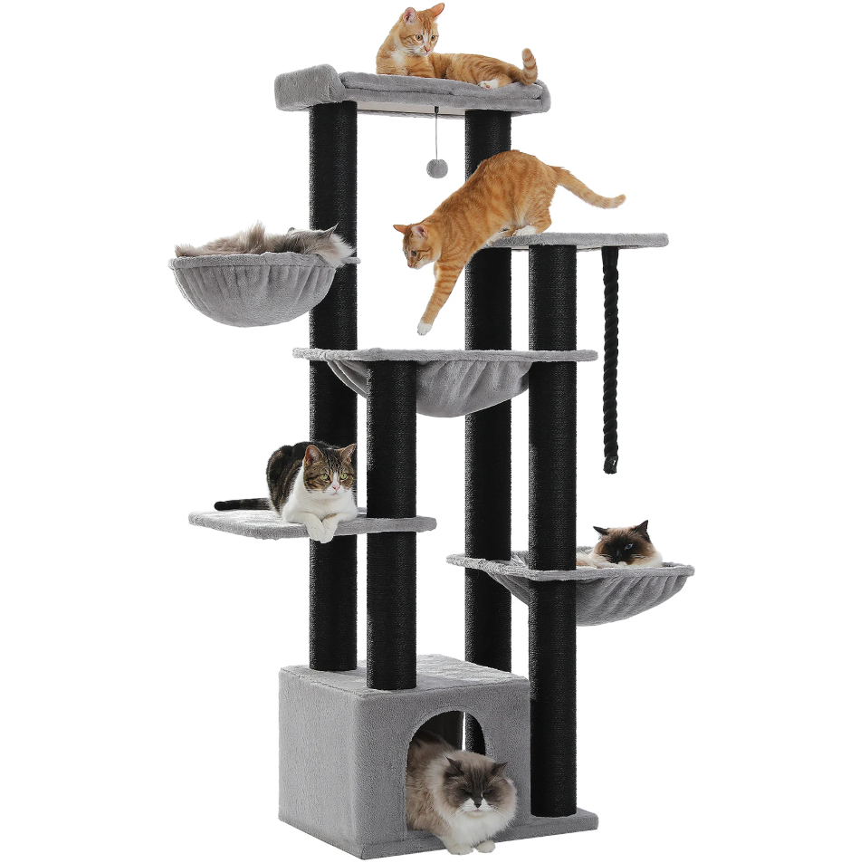 Arbre à chat Pattéo